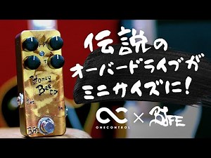 One Control Honey Bee OD 4K Mini Standard | Sakamoto Natsuki