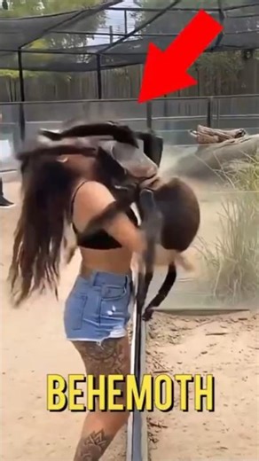 Top 5 Strangest Creatures on Earth You Won’t Believe Exist 😱🦎