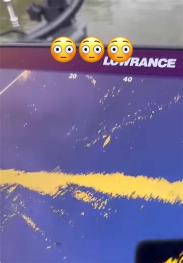 Understanding Bass Fishing Techniques with Lowrance