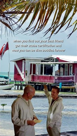 Getting Your Dive Certification