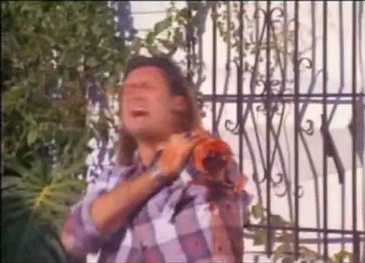 SAMURAI COP