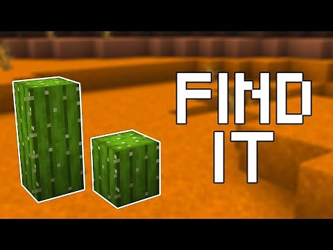 How to Find Cactus in Minecraft (All Versions)