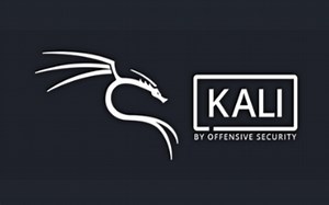 【Kali Linux渗透测试保姆教程】Kali安装、汉化、界面和工具介绍等，全网最详细的保姆教程！