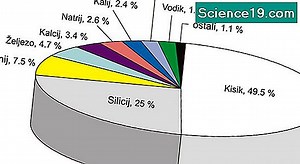 Učinci visoke vlažnosti na fotosintezu 💫 Znanstveno-Popularni Multimedijalni Portal. 2025