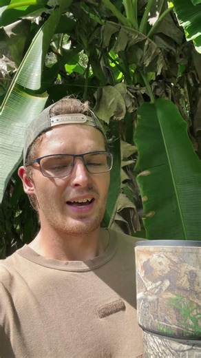 Moddy Kingfisher | Wildlife Photography