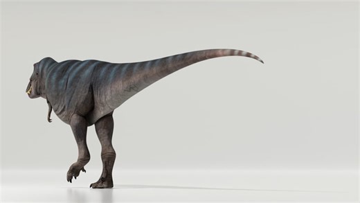 T. Rex Walked A Lot Slower Than You'd Think