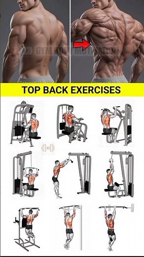 Top back exercises #dumbbell #motivation #gymworkout #backday