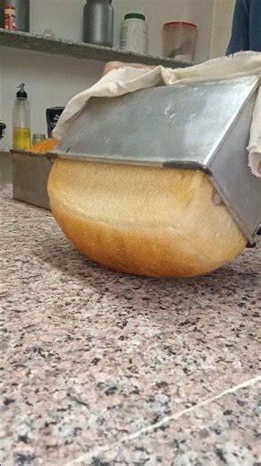 How We Make Fresh Brown Bread Daily | From Dough to Packing #baking #browbread