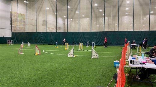 1.7K views | Dropped the first bar in Premier JWW - then it was perfect... | AgilityNerd | Facebook