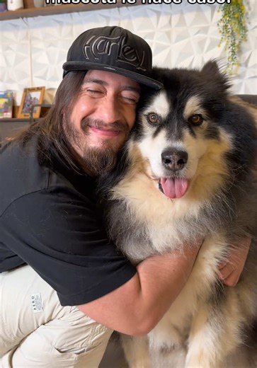 Si Marshall fuera un Pokémon para mí sería un Arcanine.. 🔥 #pokemon #dog #alaskanmalamute #wicho