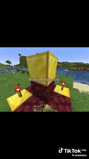 kill that what? #minecraft core