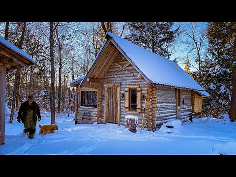 A New Beginning | Sauna Location, Logs, Workshop Build, Bear Chops on the Campfire