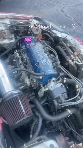 Intake manifold gasket