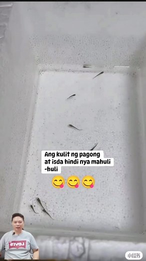 Ang kulit ng pagong napagod hindi nya mahuli-huli ang isda! #PleaseLikeFollowandShare #thankyouforyoursupport #everyone #followers #highlights #viralvideo | Junjun Jos Abueva