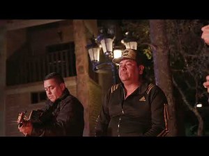 EL TIGRILLO PALMA - TE VAS