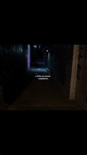 ℰ. (@61_elfida) adlı kullanıcının som original - LU7Z ile oluşturduğu videoları