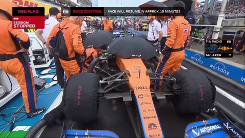 Hungarian Grand Prix - French Racer Esteban Ocon wins the race