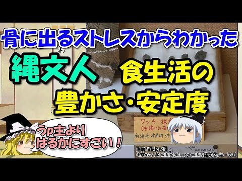 縄文時代は豊かだった？～食べ物の種類と栄養バランス、食事の調理法保存方法【ゆっくり解説日本史】