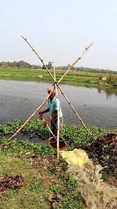 359K views · 1.3K reactions | Traditional Irrigation in Paddy Field: Hi Friends, It's a reel on traditional irrigation in paddy field. In rural areas such traditional Irrigation is found. #irrigation #fb #fbreels #reels #traditionalirrigation #paddycultivation #kisan #krishi #irrigationsystem #sech #সেচ #agriculture #farmer #rice #ricecultivation | 1 Min Agriculture | Facebook