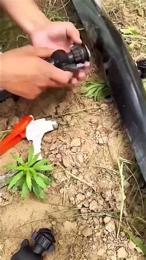 Installing Micro-Spray Irrigation Tape in a Garden – Gentle Watering