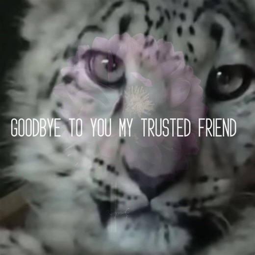 𝙎𝘼𝙑𝙀 𝙏𝙃𝙀𝙈| So many animals are gonna go extinct 100-10,000 species go extinct each year bc of habitat loss,climate change,lack of food,diseases,and humans us global warming we're ruining their lives and that's not fair to them instead of using google use Ecosia instead of using ChatGPT use viro ai start recycling STOP USING AI try not to as much play go vegan vegetarian even pescatarian anything helps sign petitions to protect animals and land be eco friendly we only have three years lef