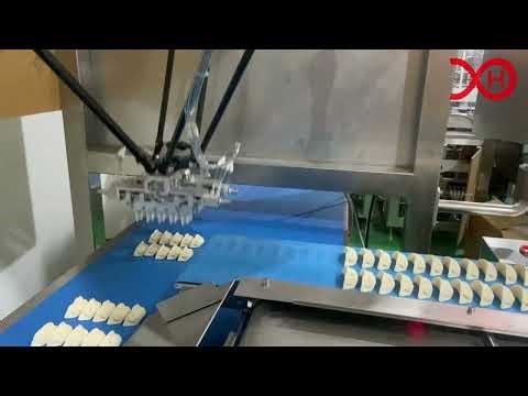 Delta Robot Pick & Place System for Dumplings to Conveyor