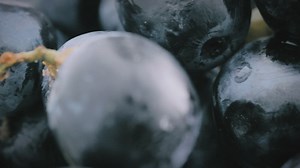 Grapes in their bunch - Free Stock Video