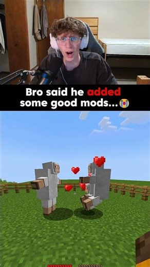 POV: BRO ADDS A MOD... #minecraft