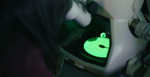 Creating atomic-scale imagery with electron microscopy facilities