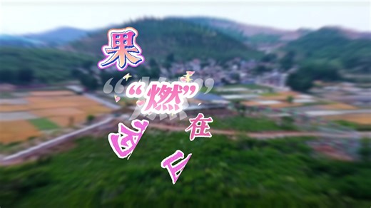 无花之果盛放致富之花_临沂新闻_大众网临沂