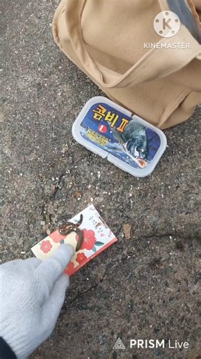 How to thread earthworm and green worm bait #fishing