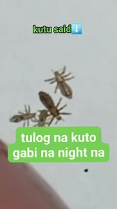 tulog na kuto gabi na night na #kuto #lice #liceremoval #crunchy | Rommel Odero