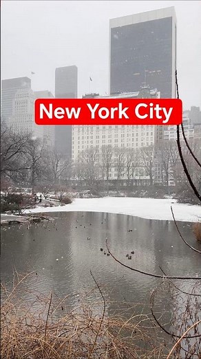 New York City 4K 🇺🇸 | The Most Famous City in the World (NYC Walking Tour) #newyorkcity #snow