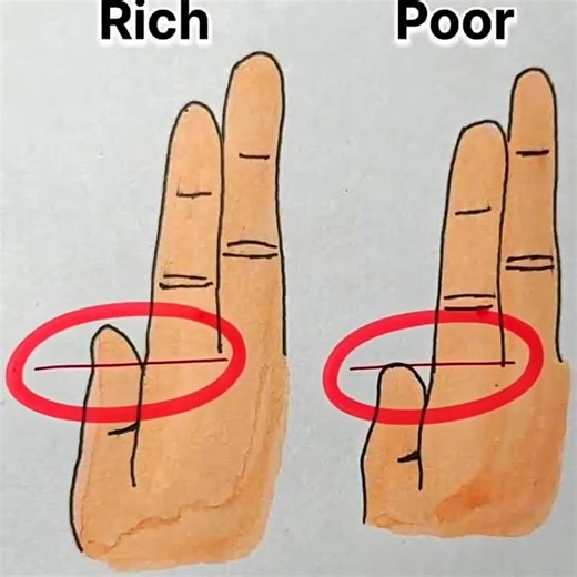 13K views · 21 reactions | The secret of our hand to show rich or poor..... see detail in comment | Voice of U.S. Citizens | Facebook