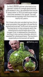 A Garden Sealed for 60 Years 🌱😲