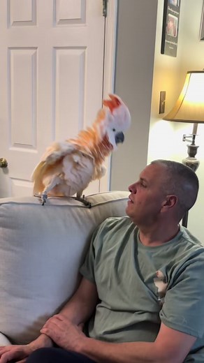 Tango the Cockatoo Complains About Dog Walkers | Bird Gets Mad!
