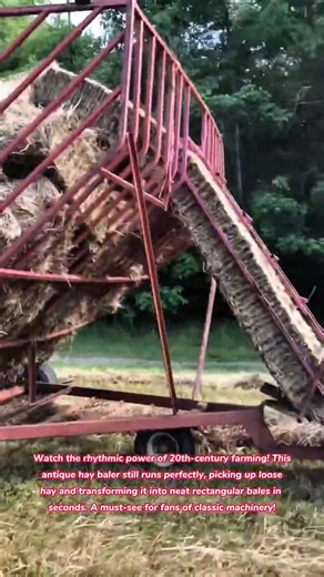 Mechanical Masterpiece! 🌾🚜 Vintage Hay Baler at Work #vintage #farming #asmr #satisfying #farmer