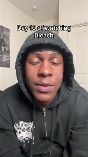 Bleach Anime Review: Day 10