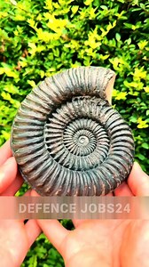 #DIY #LifeHacks #CreativeIdeas #DIYProjects #Crafting #EasyDIY #TikTokDIY #HomeMade #Trending #Viral #ReelsViral #FYP #ReelsDIY #Inspiration #FacebookReels #ReelsTrend #Shorts | Defence Jobs24