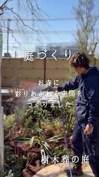 庭づくり＃６［造園×外構］1ヶ月かけてオリーブやアガベなど彩り豊かな庭をつくりました！#shorts #おすすめ #造園 #外構 #ガーデニンググッズ #garden