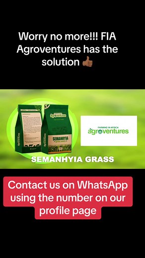 FIA | +233545793848 on TikTok