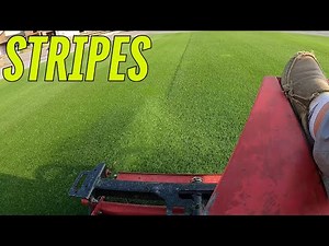 Toro Reel Master 3100d Mow