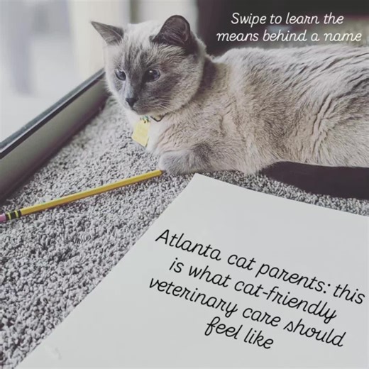 POV: You just found your new favorite cat spot 🐾☕ Mira’s Den is a feline-exclusive veterinary hospital first, designed entirely around cats, and a cozy, independently owned cat coffee lounge concept built to bring the community together. Think: low-stress, cat-only medicine done right… slow mornings with coffee… resident kitties lounging nearby… and a space created with intention from the ground up. No corporate backing. No big investors. Just heart, ethics, and a whole lot of whiskers. If you’