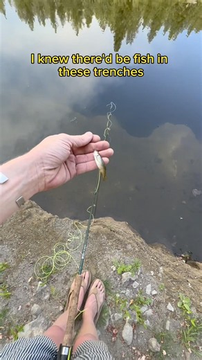Fishing in spokane 🎣 #home #fishingvideo #spokane