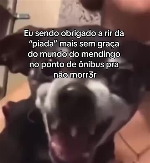 Meme: Laughing at Unfunny Jokes | Pointless Bus Stop Joke