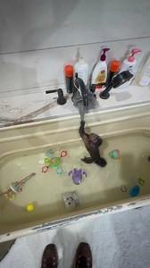 110K views · 8.8K reactions | Weighing Bella for the first time. With her previous family she was recently weened from her bottle which then she did lose some weight which is normal for them all. Bella is very tall so we are trying to beef her up some. In no way shape of form am I implying that her previous family didn’t give her the best of everything, even food. Her mom will agree that she is thin and could use some extra meat on her bones. | Our Life Adventures | Facebook