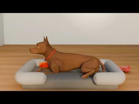 Dog Animation | Blender | MiabellaRose