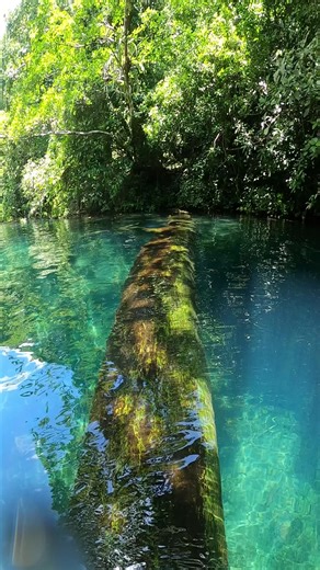 9.9K views · 189 reactions | ¿Ya conoces la increíble laguna azul ? 獵Se encuentra en la Selva de los Tuxtlas, Dat Un Break y acompáñanos a sumergirnos. #Tuxtlas #Veracruz #datunbreak | DaT Un Break | Facebook