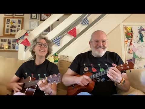 Pinball Wizard ( The Who ) Ukulele Cover