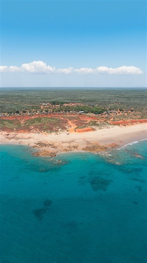 2.2K views · 163 reactions | Looking for more information? ⬇️  -...